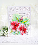 Amaryllis Coordinating Dies
