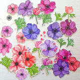 Anemones Coordinating Dies