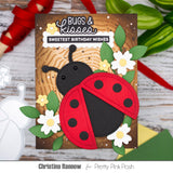Ladybug Shaker Dies