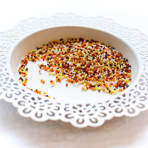 Autumn Shaker Beads Autumn Shaker Beads