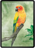 B021F - Sun Parakeet Full Art