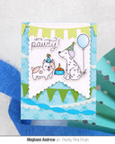 Birthday Dogs & Cats Stamp Set