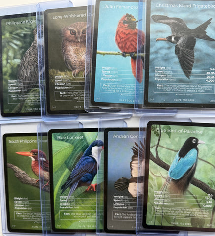 1st Edition Birds Full Arts