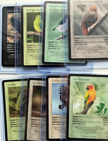 1st Edition Birds - Rares