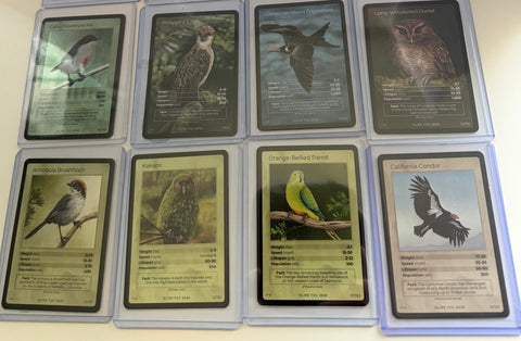 Birds Singles