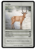 Mammals Singles