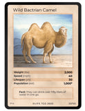 Mammals Singles