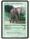 Mammals Singles