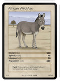Mammals Singles