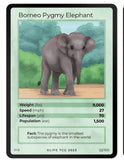 Mammals Singles