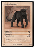 Mammals Singles
