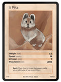 Mammals Singles