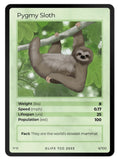 Mammals Singles