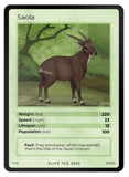 Mammals Singles