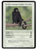 Mammals Singles
