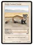 Mammals Singles