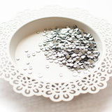 Matte Silver Confetti Matte Silver Confetti