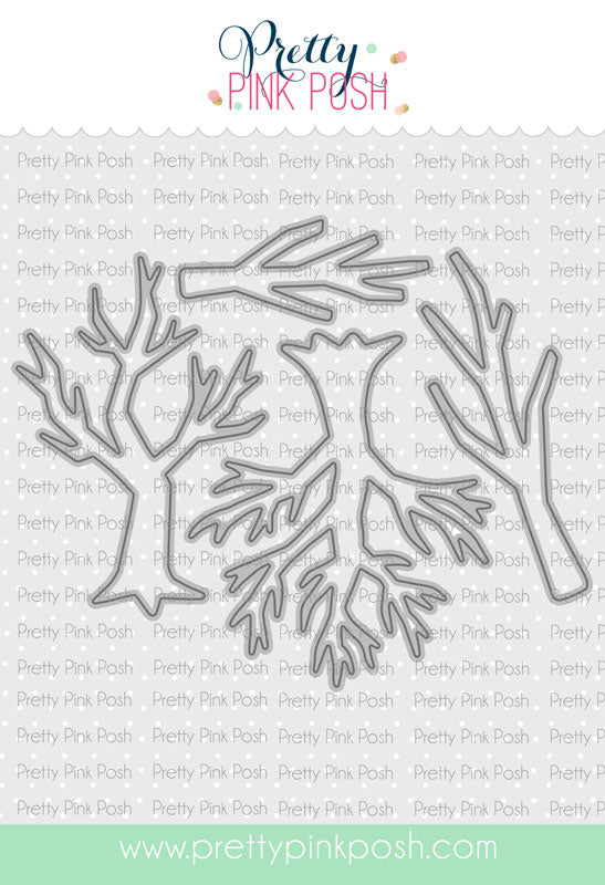 Spooky Forest Spooky Forest