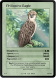 B017H Philippine Eagle Holo