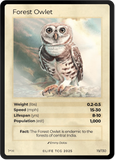 B019H Forest Owlet Holo