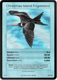 B028H Christmas Island Frigatebird Holo