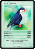 B030H Blue Lorikeet Holo