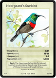B031H Neergaard's Sunbird Holo