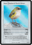 B032H New Zealand Rock Wren Holo